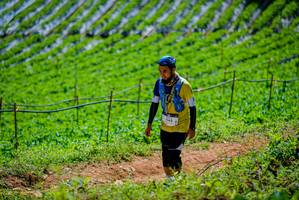 BIB: 1145
                            <button type="button" onclick="openModal(19164786)" class="btn btn-primary btn-sm float-right btn-popup" data-toggle="modal" data-target=".modal-high-quality">
                        <i class="fas fa-shopping-cart"></i> Add to Cart
                    </button>
                                            <button type="button" onclick="isThisMe(19164786, true)" class="btn btn-success btn-sm float-right btn-popup btn-isme hidden" data-toggle="tooltip" data-placement="bottom" title="นี่คือรูปของคุณใช่ไหม คลิกที่นี่เพื่อเอาเข้าอัลบั้ม">
                        <i class="fas fa-plus"></i> Add to album
                    </button>
                    <button type="button" onclick="isThisMe(19164786, false)" class="btn btn-warning btn-sm float-right btn-popup btn-isnotme hidden">
                        <i class="fas fa-ban"></i> Remove from album
                    </button>